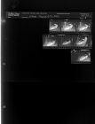 Wreck (7 Negatives), March 2-3, 1964 [Sleeve 1, Folder c, Box 32]